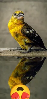 Vibrant yellow bird with reflection and distressed wall backdrop.