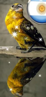 Vibrant yellow bird with reflection on stone.