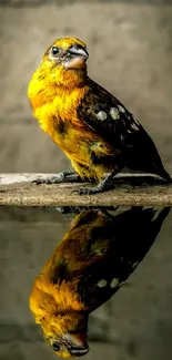 Yellow bird with reflection on water in a serene nature setting.