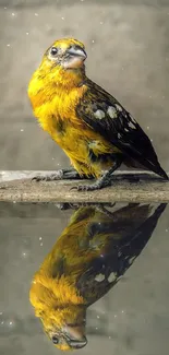 Yellow bird with reflection in water, vibrant nature wallpaper.