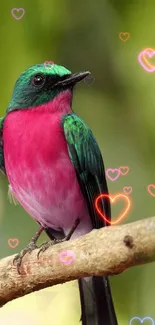 Vibrant green and pink bird with glowing heart accents on a branch.