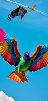 Vibrant birds with colorful wings flying high under a blue sky.