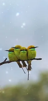 Four vibrant birds perch on a branch against a dreamy sky.