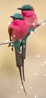 Vibrant pink and teal birds perched on a branch.