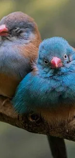 Two vibrant birds perched on a branch, showcasing teal and brown colors.