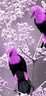 Purple-capped birds on lavender flowering branch wallpaper.