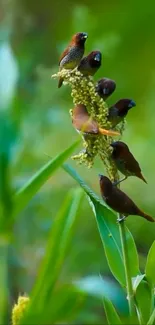 Close-up of birds perched on a vibrant green plant stalk in nature.