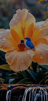 Birds perched on a vibrant hibiscus flower with dewdrops.