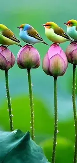 Four colorful birds perched on lotus buds in natural setting.