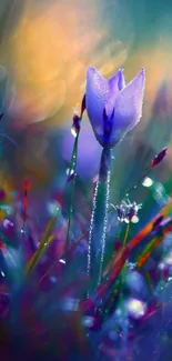 Purple flower with dew in a vibrant bokeh background.