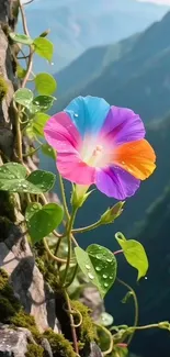 Vibrant multicolored flower blooming on a mountainside.