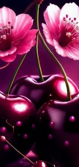 Vibrant purple cherries with pink blossoms on mobile wallpaper.