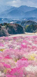 Mobile wallpaper of cherry blossoms against a mountain backdrop in springtime.