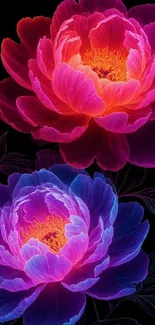 Neon flowers with vibrant petals in dark background.