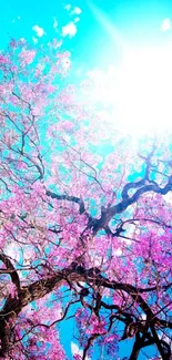 Cherry blossom tree with bright sky background, vibrant blue hues.