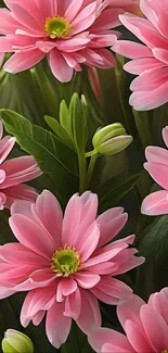 Pink flowers and green leaves wallpaper.
