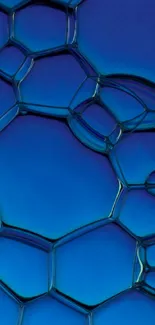 Blue abstract wallpaper with intricate bubble patterns.