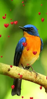 Vibrant blue and orange bird on branch with green backdrop.