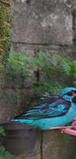 Vibrant blue bird perched against lush green background.