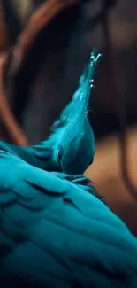 Mobile wallpaper of a vibrant blue bird with elegant feathers.