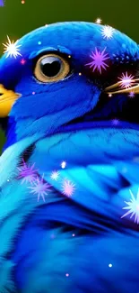 Closeup of a vibrant blue tropical bird perched on a branch.