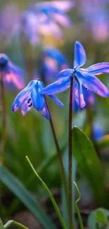 Blue flowers with green leaves in vibrant nature wallpaper.