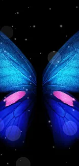 Vibrant blue butterfly on black background wallpaper.