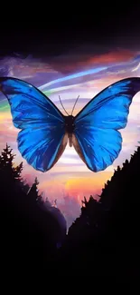 Vibrant blue butterfly against a vivid, colorful backdrop.