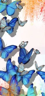 Vibrant blue butterfly wallpaper with colorful background accents.