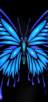 Vibrant blue butterfly on black background, intricate design.