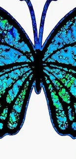 Vibrant blue butterfly wallpaper art design.