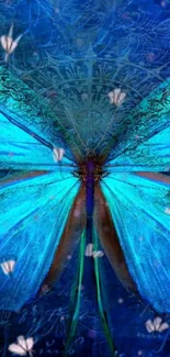 Vibrant blue butterfly on artistic background wallpaper.