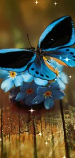 A vibrant blue butterfly rests on flowers with a rustic wooden background.