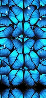 Blue butterfly pattern wallpaper on mobile background.