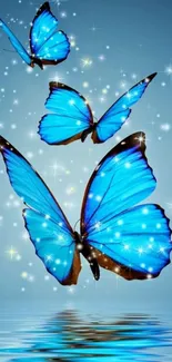 Blue butterflies with stars and water reflections.