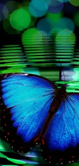 Blue butterfly on shimmering green backdrop wallpaper.