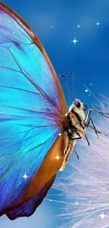 Blue butterfly on dandelion against a sky background wallpaper.