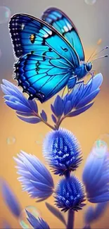 Blue butterfly gracefully resting on a flower.