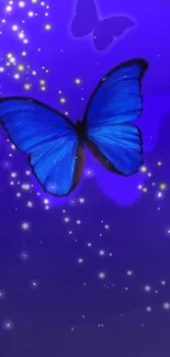 Vibrant blue butterfly with starry background on mobile wallpaper.