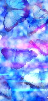 Vibrant blue butterfly wallpaper with vivid colors and elegant design.