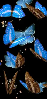 Elegant blue butterflies on black wallpaper.