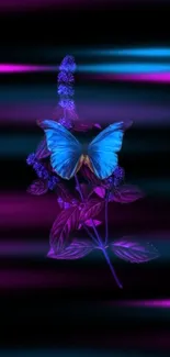 Blue butterfly on purple foliage with neon background.