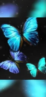 Vibrant neon blue butterflies on a black background.