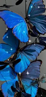 Vibrant blue butterflies arranged elegantly on a decorative display.