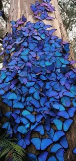 Tree covered in vibrant blue butterflies in a lush forest setting.