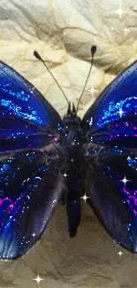 Vibrant blue butterfly on textured surface