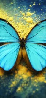 Blue butterfly on a yellow and blue background, showcasing vibrant colors.