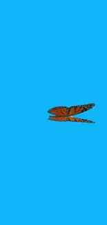 Sky blue wallpaper with a butterfly in flight.