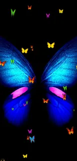 Vibrant blue butterfly with neon wings on black background wallpaper.