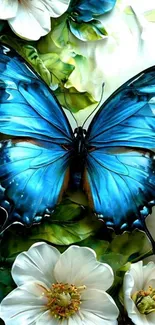 Blue butterfly with white flowers wallpaper.